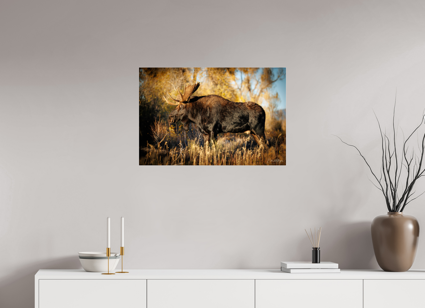 30 x 20″, Acrylic "Monarch of Gros Ventre - Presence" - Bull Moose