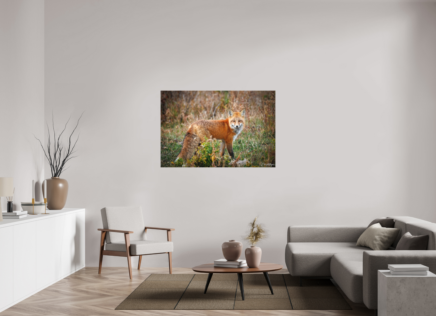 54 x 36″, Canvas "Ember in the Grass" - Red Fox
