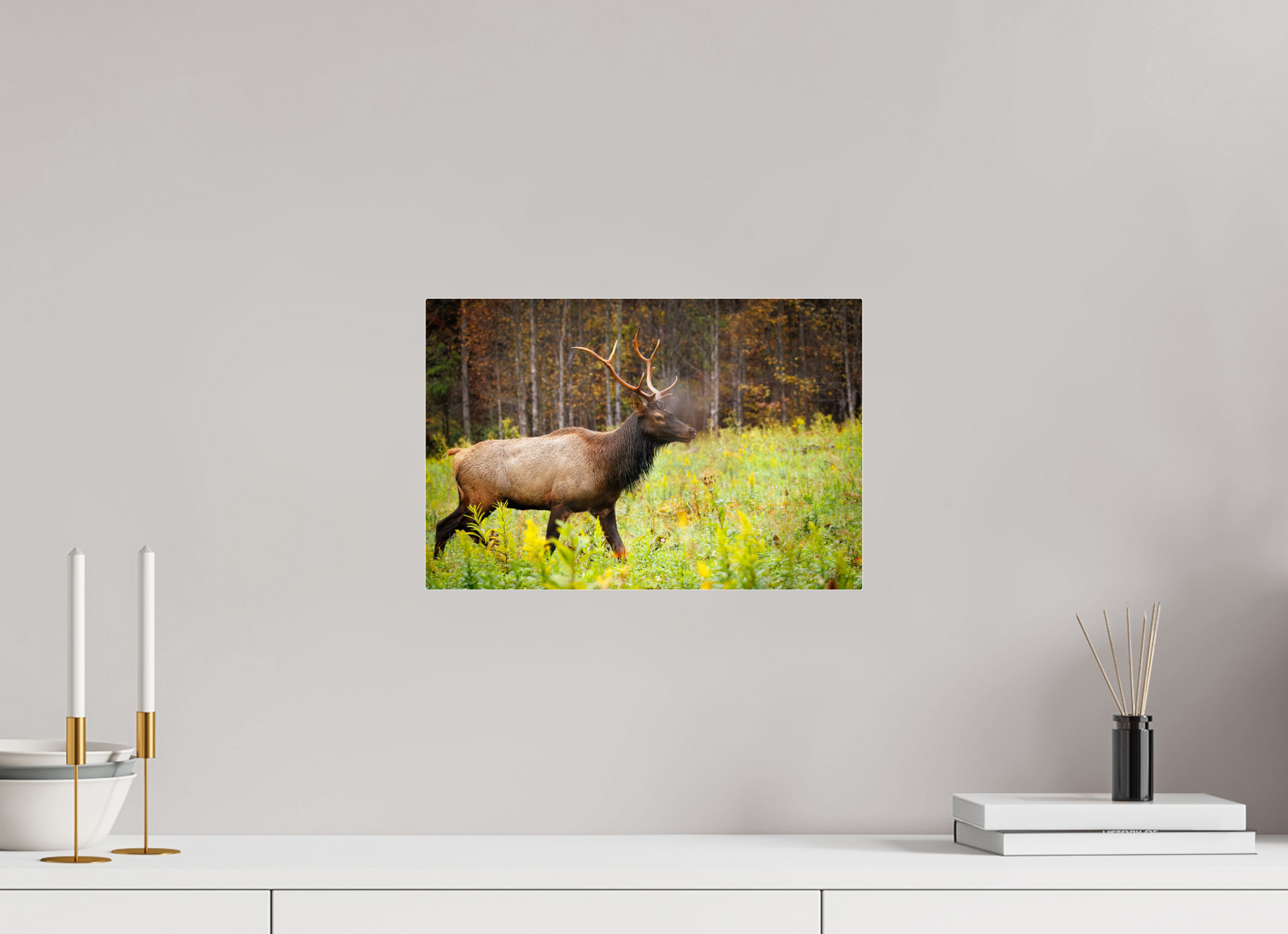 15 x 10″, Acrylic "Call of the Wild" - Elk