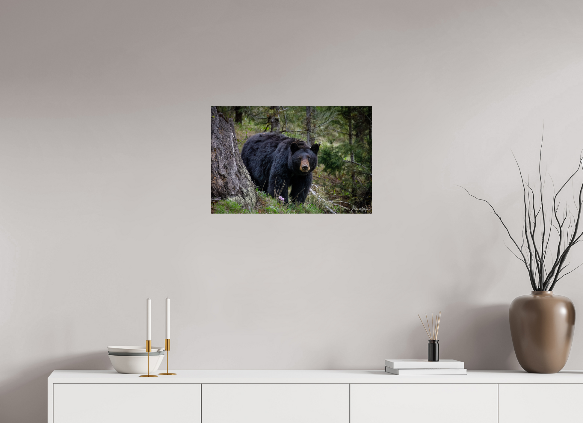 24 x 16″, Metal "Silent Gaze" - Black Bear