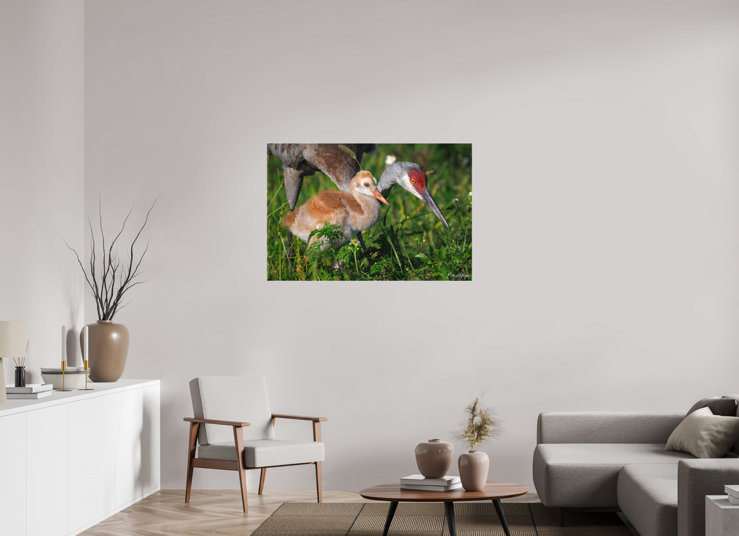 45 x 30″, Canvas "Guiding the Next Generation" - Sandhill Cranes