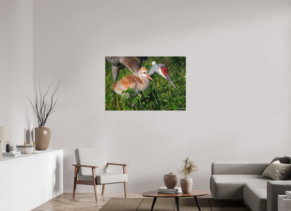 45 x 30″, Canvas "Guiding the Next Generation" - Sandhill Cranes