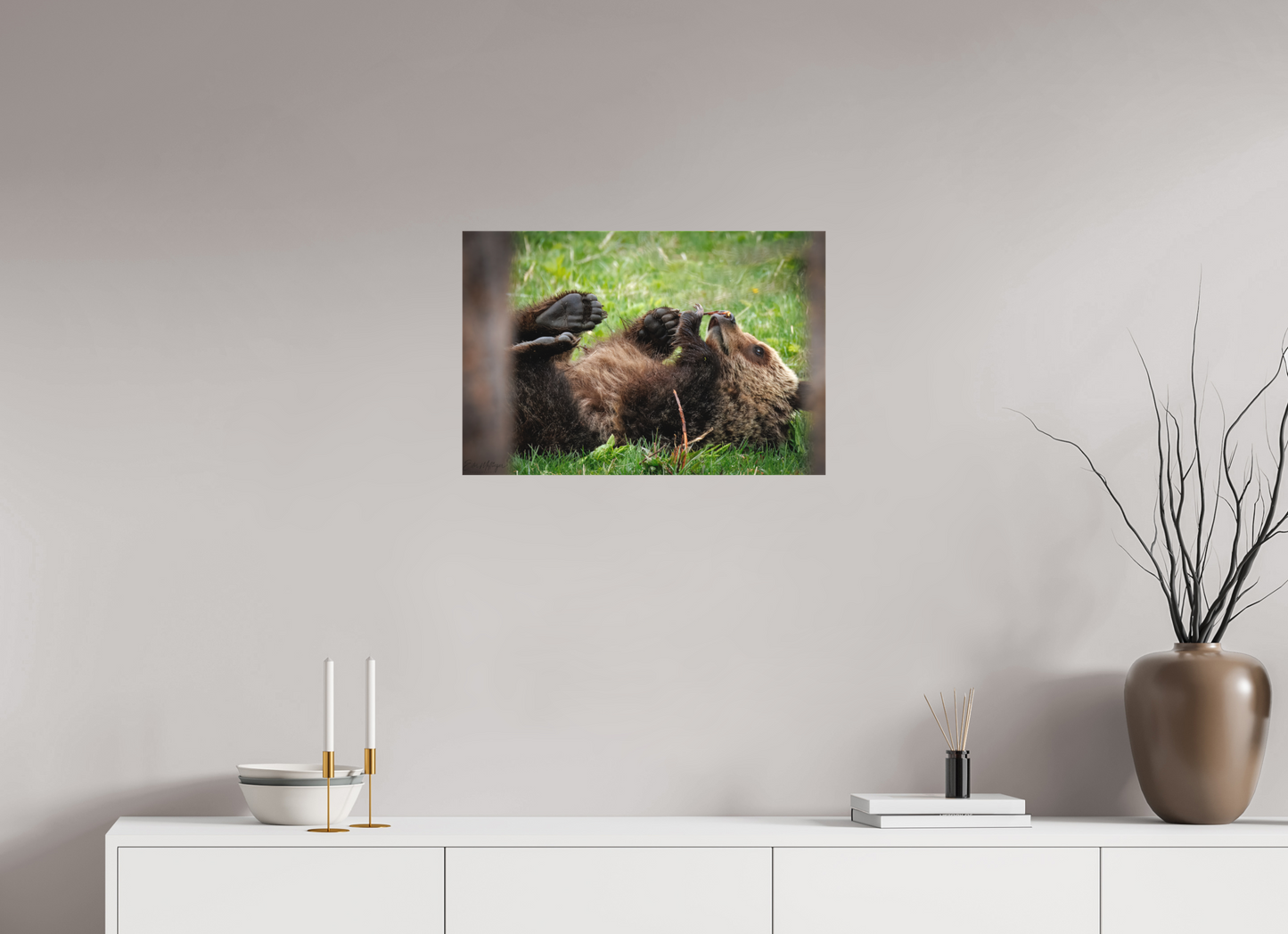 24 x 16″, Canvas "Gentle Discovery" - Grizzly Bear