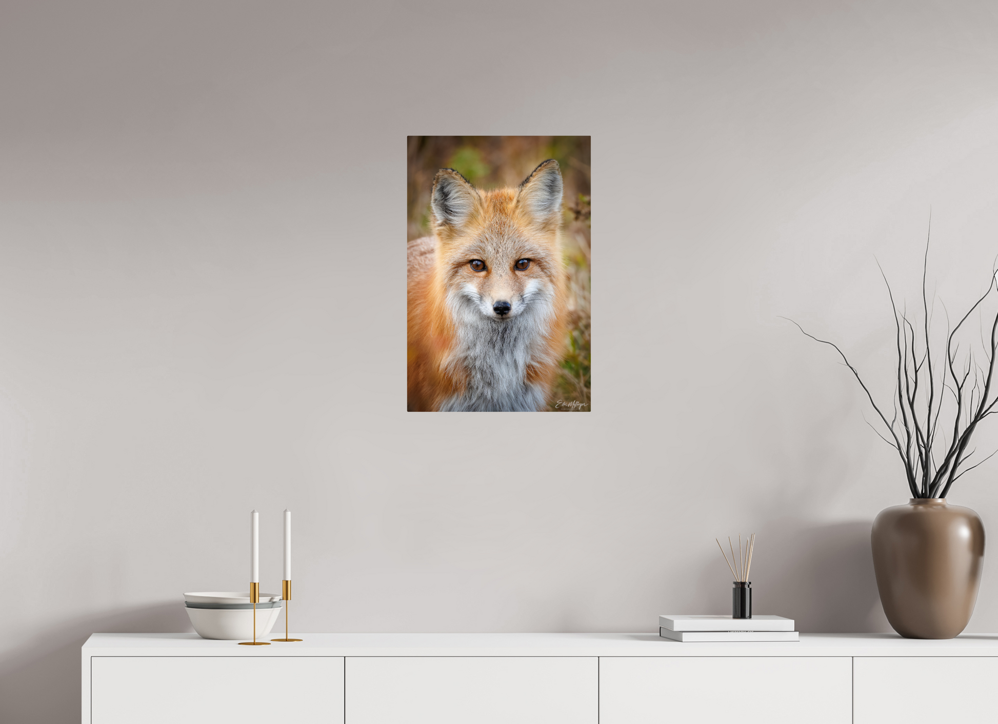 16 x 24″, Metal "Face to Face" - Red Fox