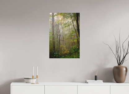 20 x 30″, Canvas "The Heart of the Forest"
