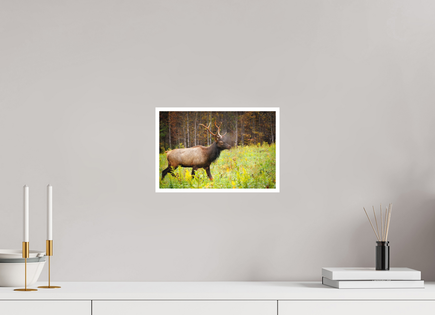 12 x 8″, Fine art print "Call of the Wild" - Elk