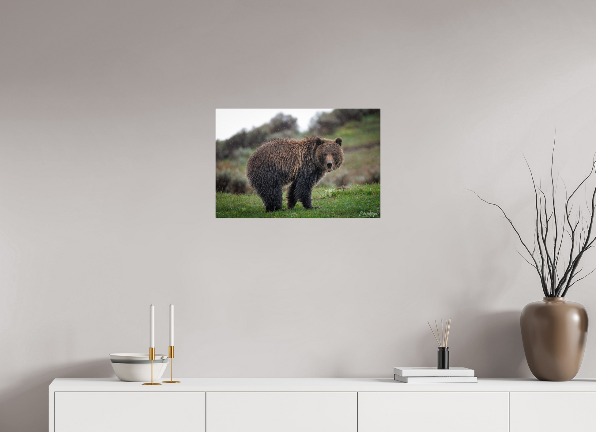 24 x 16″, Metal "Stormy Charm" - Grizzly Bear