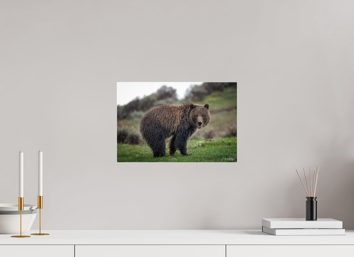 15 x 10″, Acrylic "Stormy Charm" - Grizzly Bear