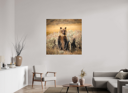 45 x 45″, Canvas "Standing Tall" - Grizzly Bear