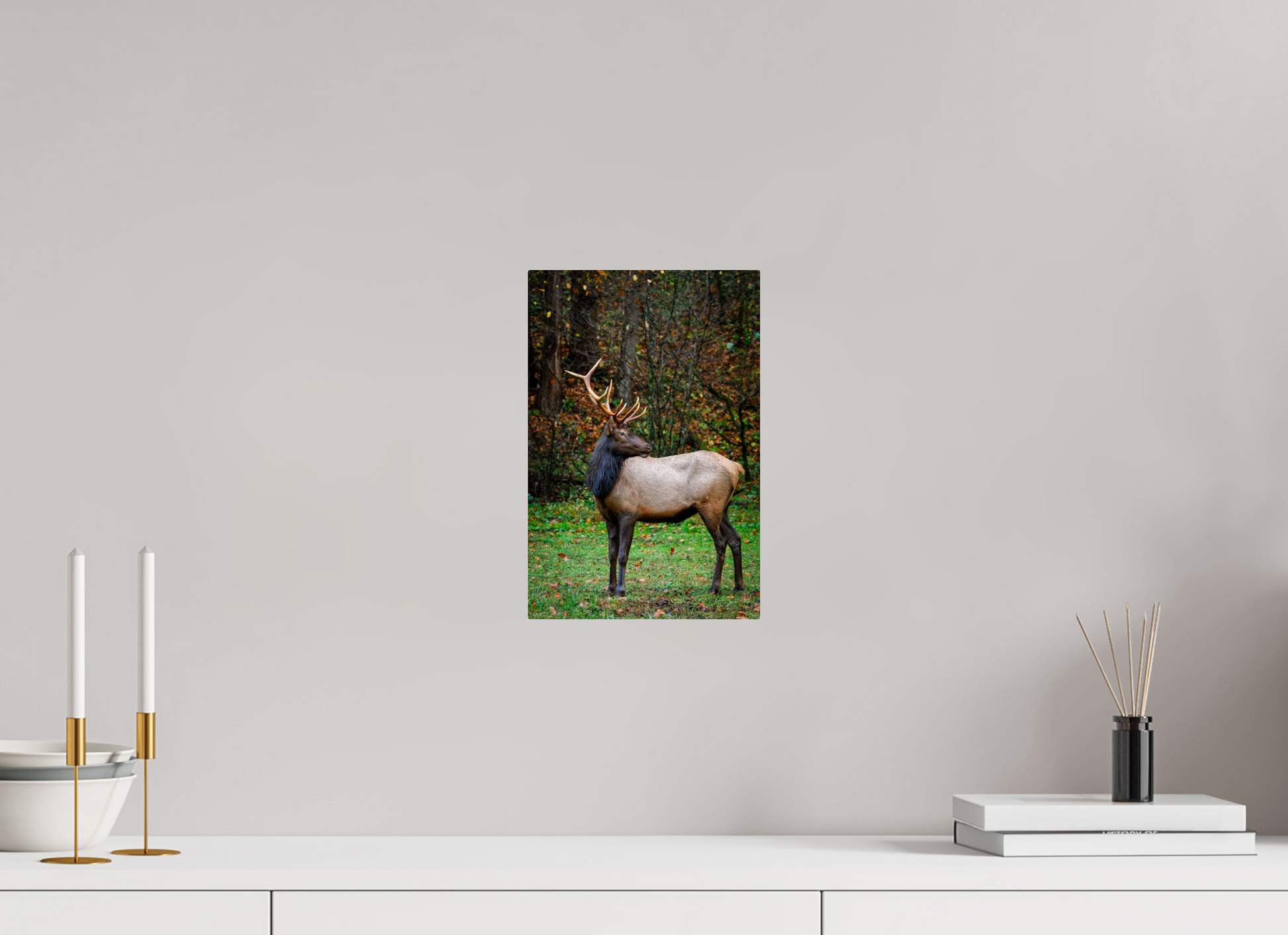 8 x 12″, Metal "Guardian of the Meadow" - Elk