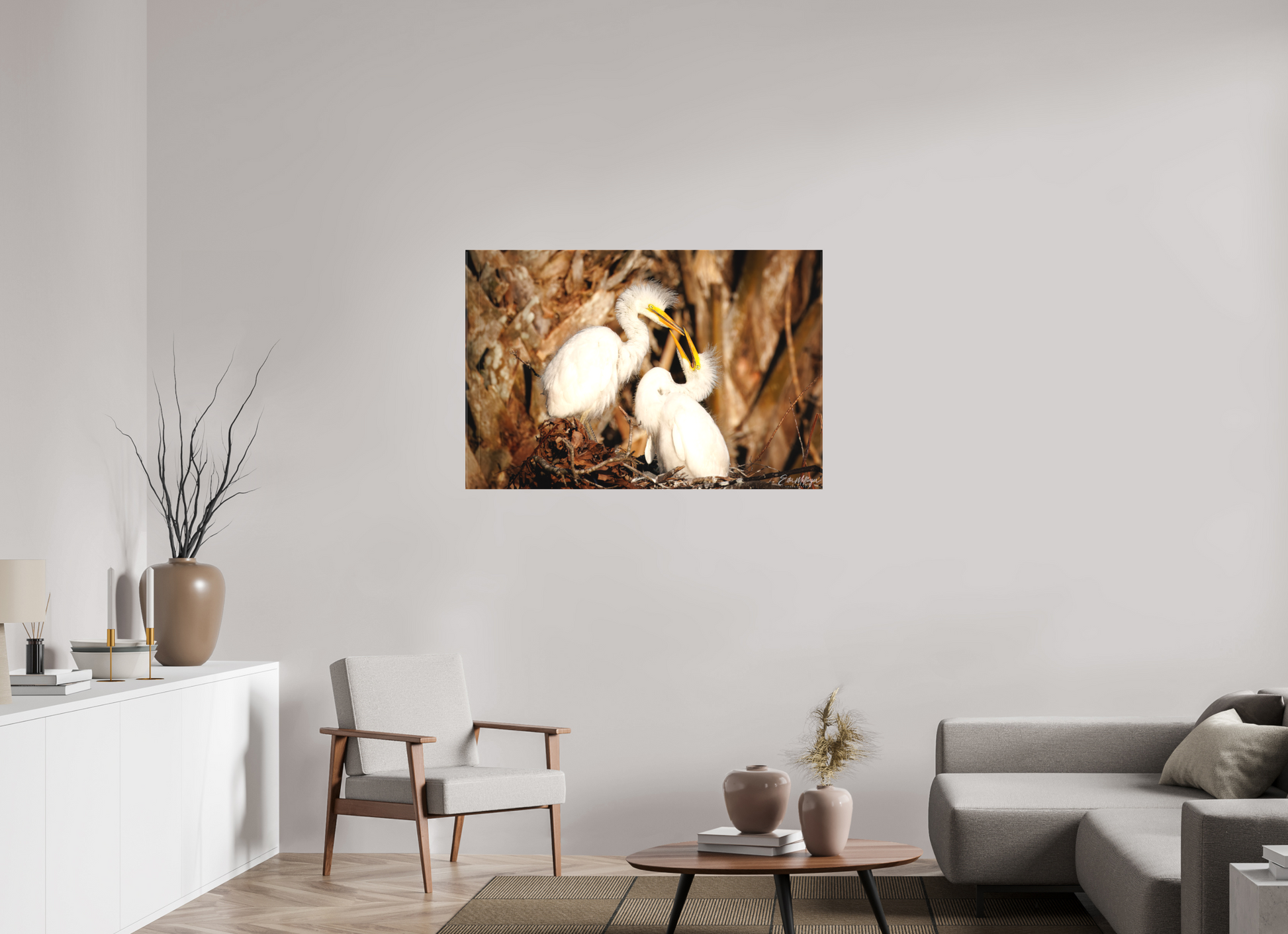 45 x 30″, Canvas "Wetland Nursery" - Great Egrets