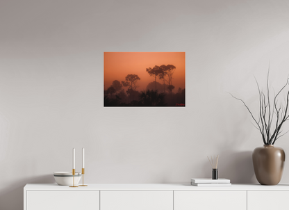 24 x 16″, Canvas "First Light" - Big Cypress Sunrise