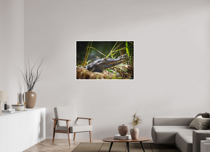 45 x 30″, Fine art print "Teeth of Time" - American Crocodile