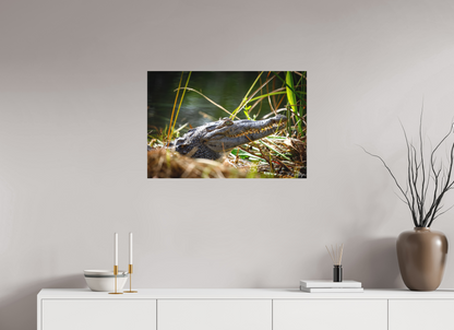 30 x 20″, Canvas "Teeth of Time" - American Crocodile