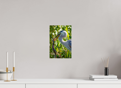 8 x 12″, Metal "The Hunt in the Marsh" - Great Blue Heron
