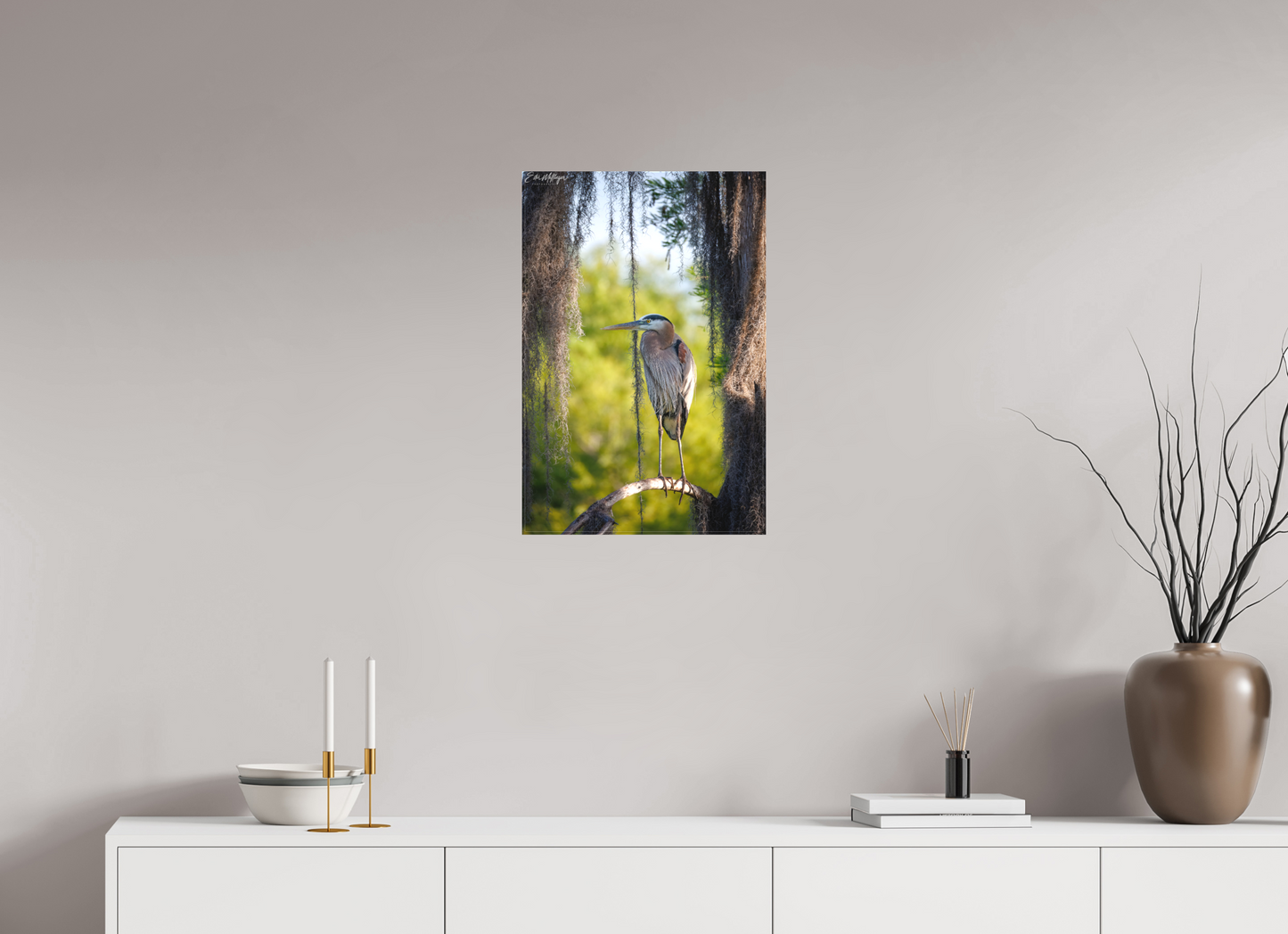 16 x 24″, Canvas "Framed by the Moss" - Great Blue Heron