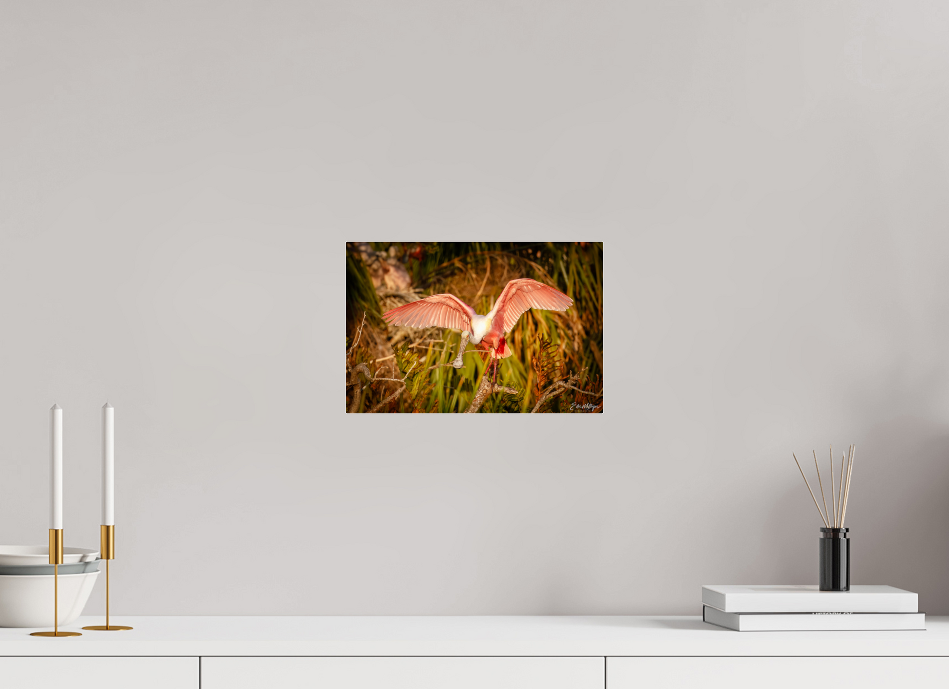 12 x 8″, Acrylic "Golden Builder" - Roseate Spoonbill