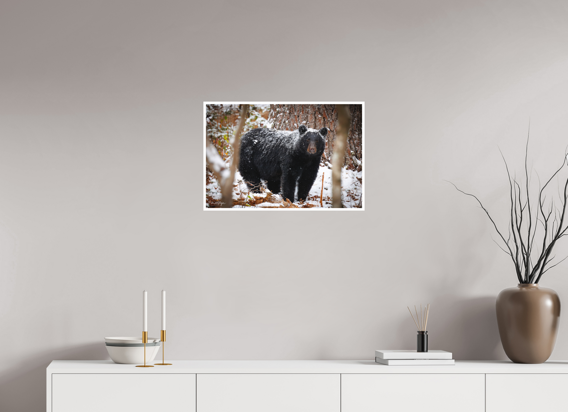 24 x 16″, Fine art print "Winter Watcher" - Black Bear
