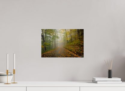 15 x 10″, Acrylic "The Way Through the Mist"