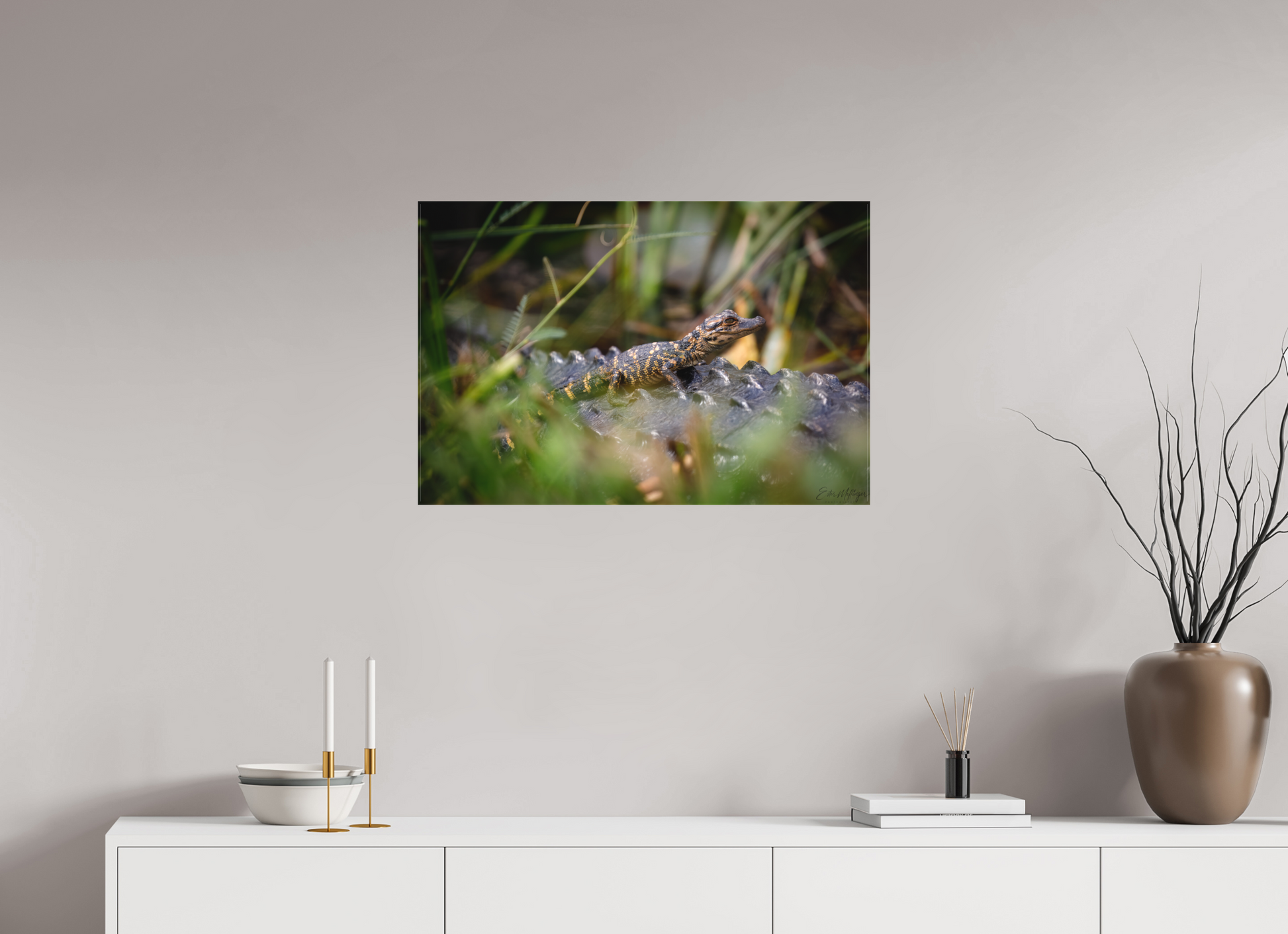 30 x 20″, Canvas "Backseat Explorer" - Baby Alligator