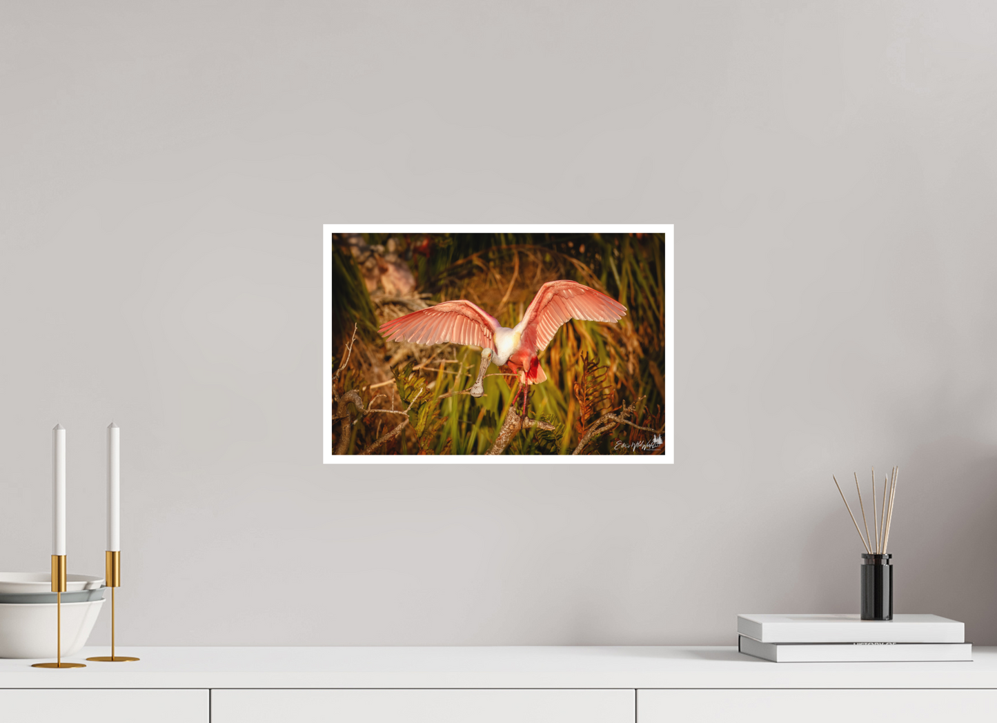 Sunset spoonbill