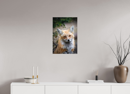 16 x 24″, Canvas "Quiet Mind" - Red Fox