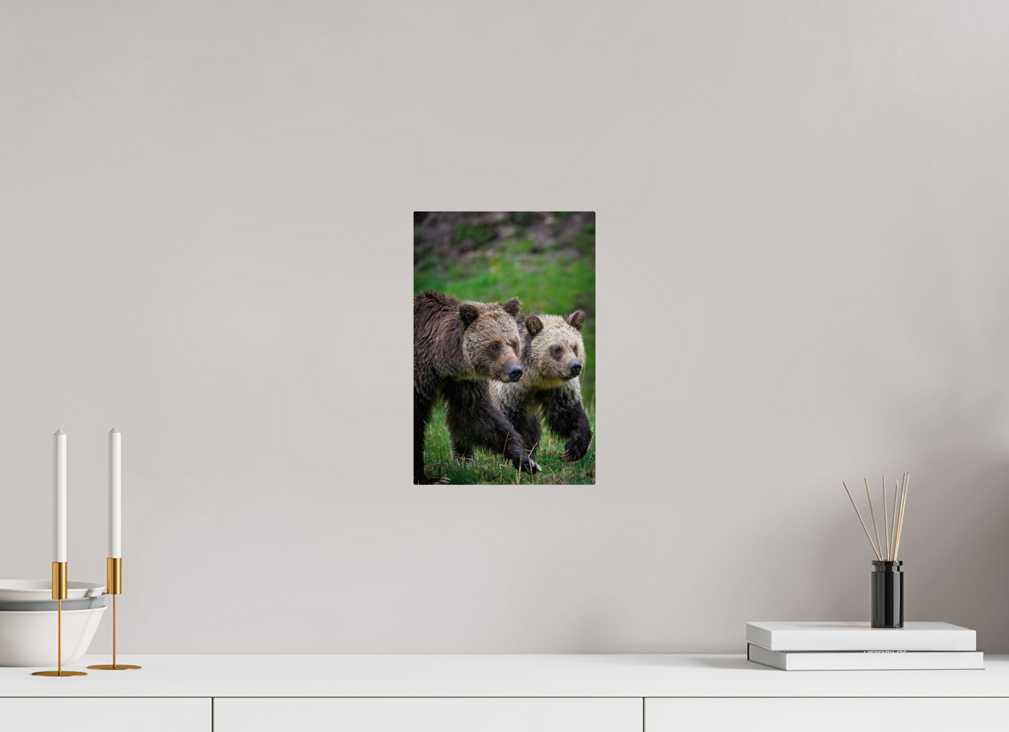 Grizzly mom and cub