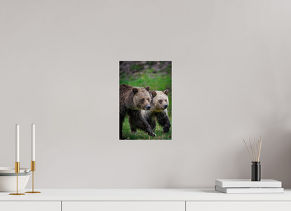 Grizzly mom and cub