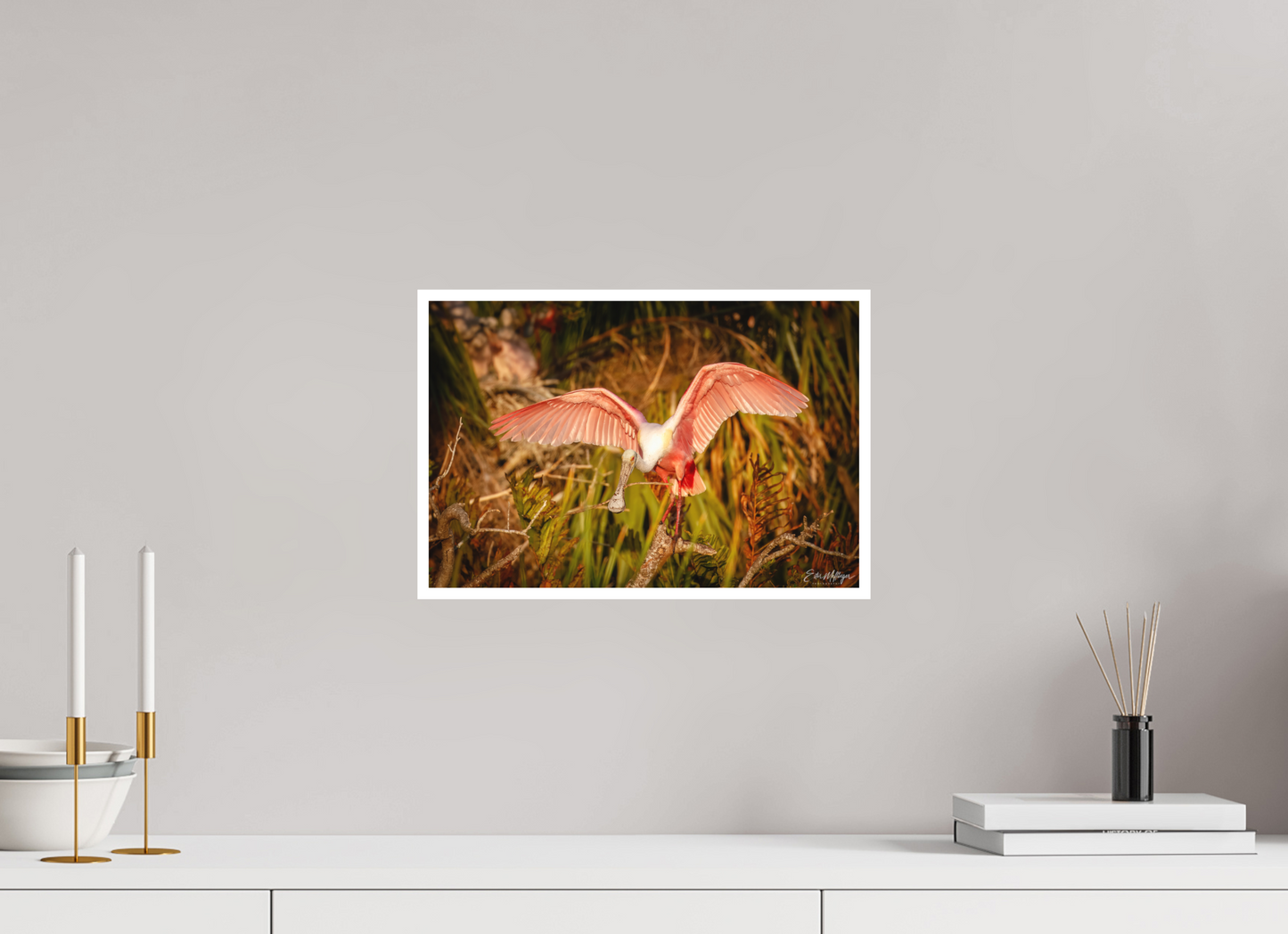 15 x 10″, Fine art print "Golden Builder" - Roseate Spoonbill