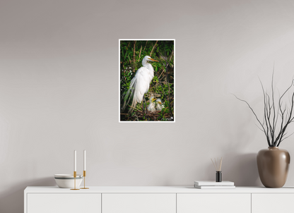 Great egret with chicks