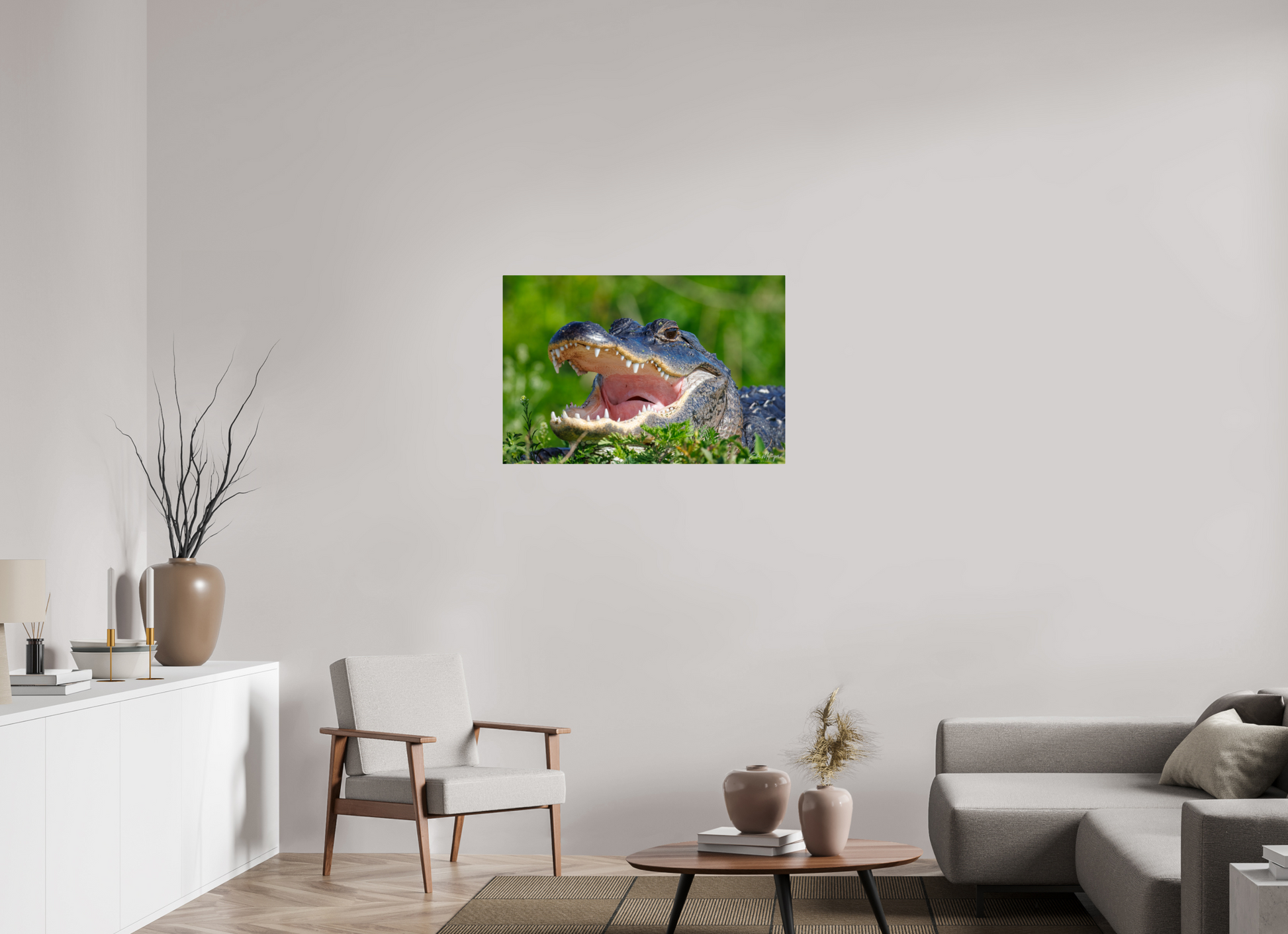 36 x 24″, Metal "Wide Open" - American Alligator