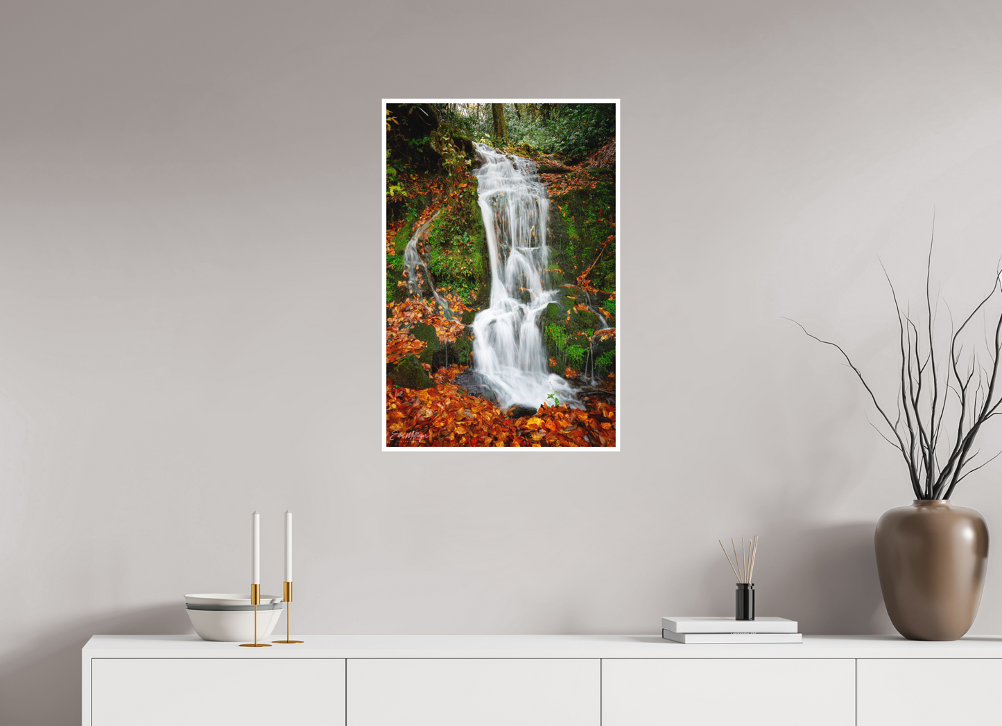 20 x 30″, Fine art print "Where the Forest Flows"
