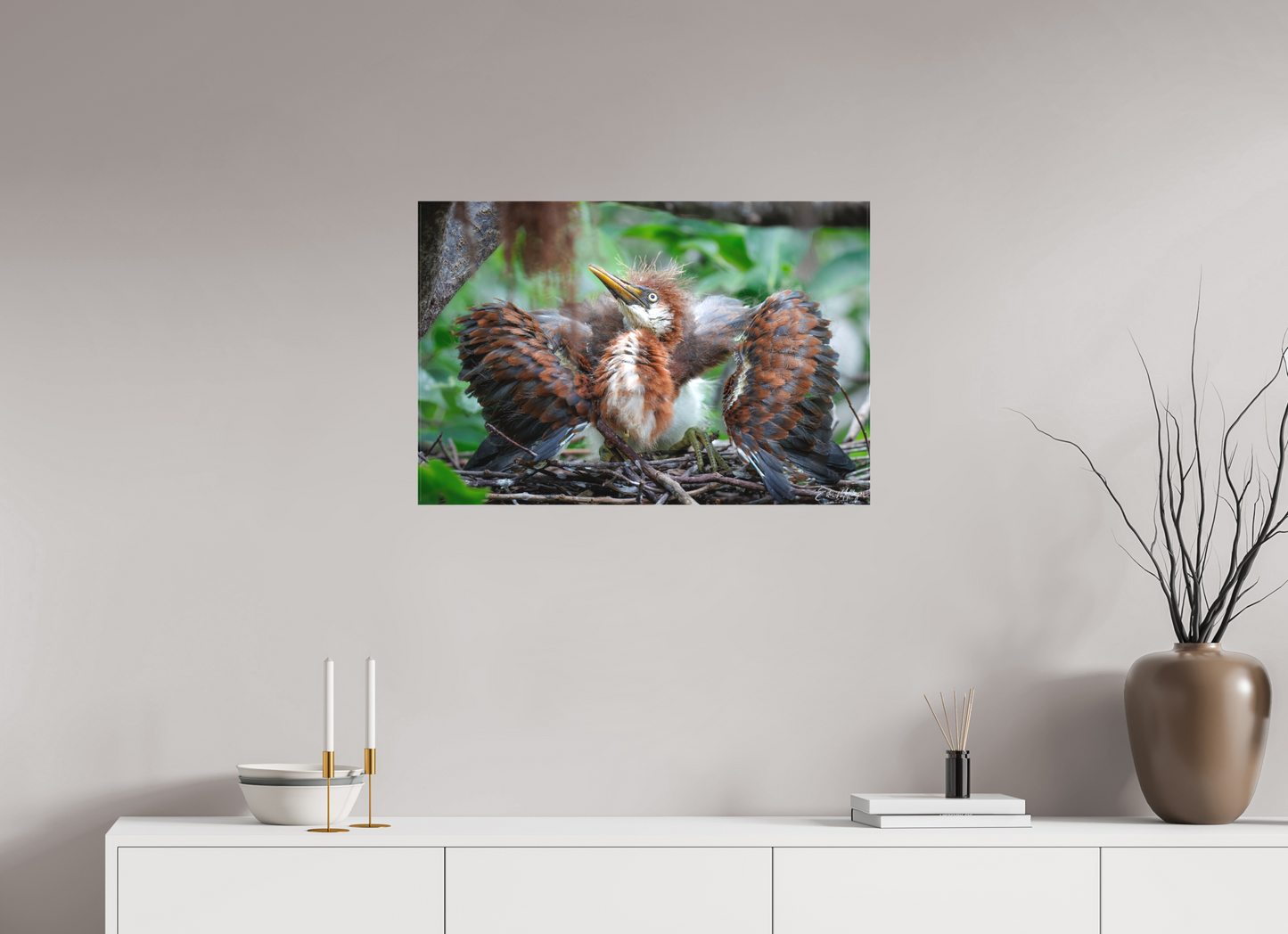 30 x 20″, Canvas "Finding My Wings" - Tricolored Heron