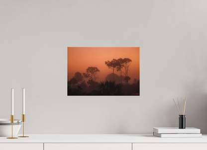 15 x 10″, Canvas "First Light" - Big Cypress Sunrise