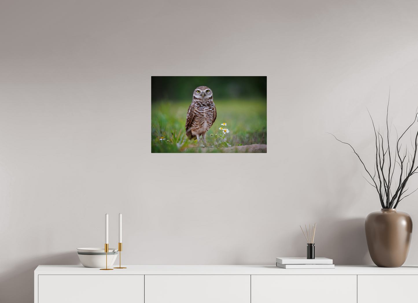 24 x 16″, Metal "The Watcher" - Burrowing Owl