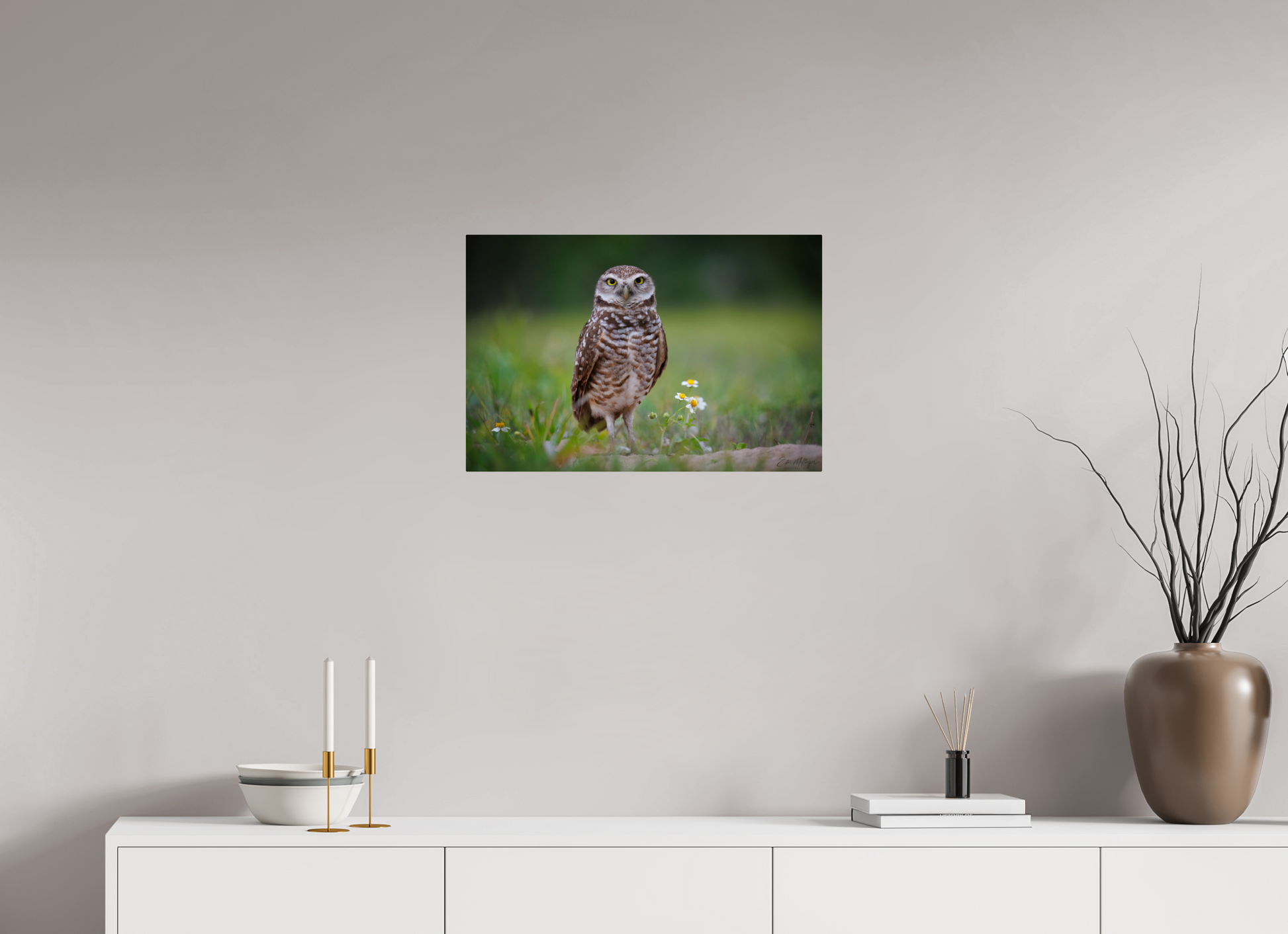 24 x 16″, Metal "The Watcher" - Burrowing Owl