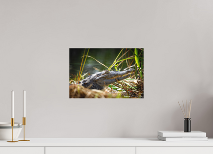 15 x 10″, Canvas "Teeth of Time" - American Crocodile