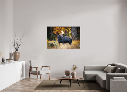 54 x 36″, Canvas "Guardian of the Gros Ventre" - Bull moose