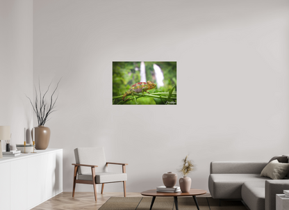 36 x 24″, Canvas "Guardian of the Falls" - Chameleon in the Rainforest