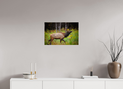 24 x 16″, Acrylic "The Challenger" - Elk