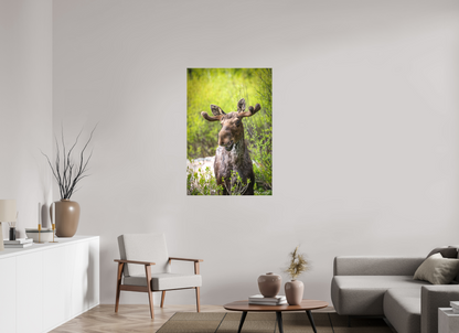 30 x 45″, Canvas "Willow Smile" - Moose