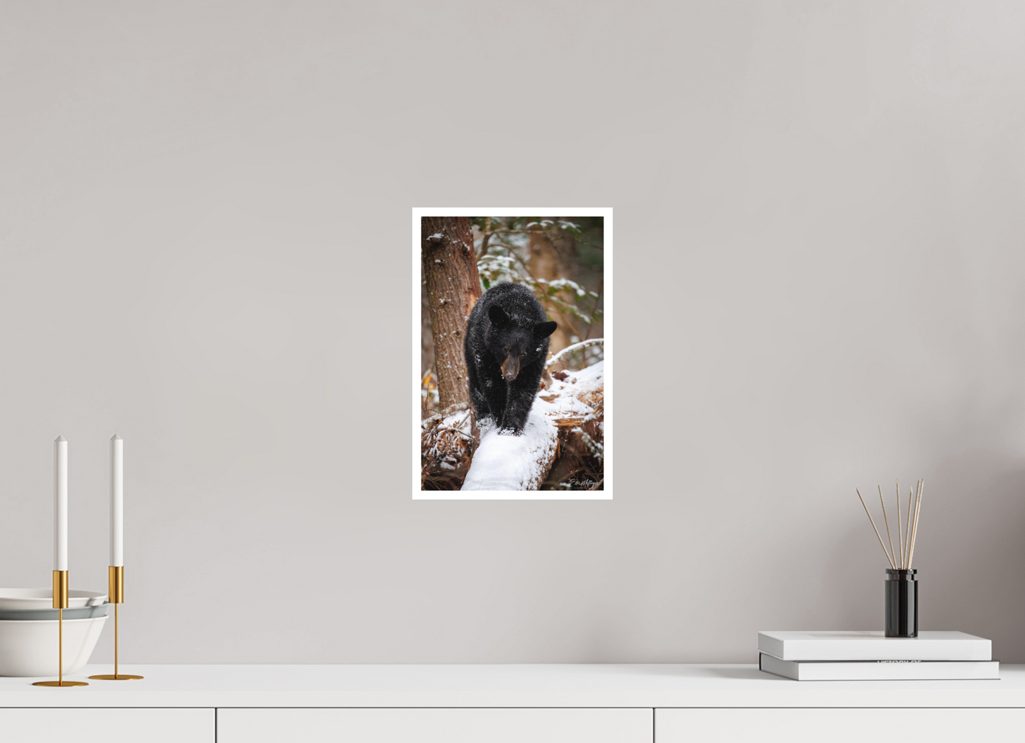 8 x 12″, Fine art print "Little Snow Walker" - Black Bear