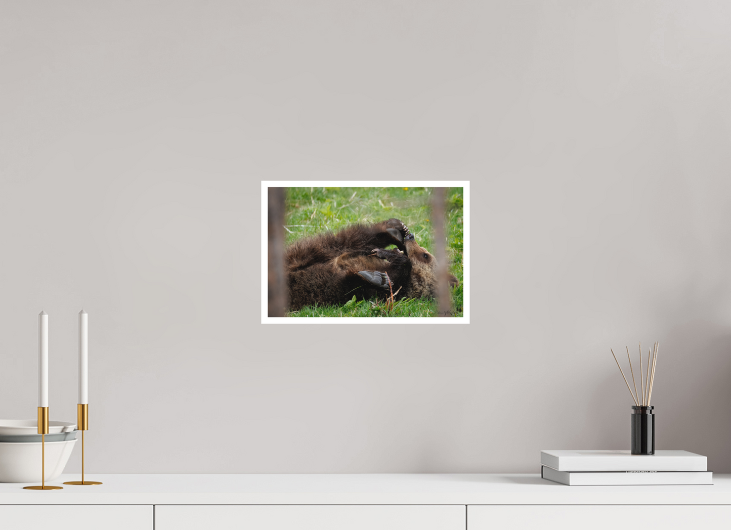 Bear chewing on its foot