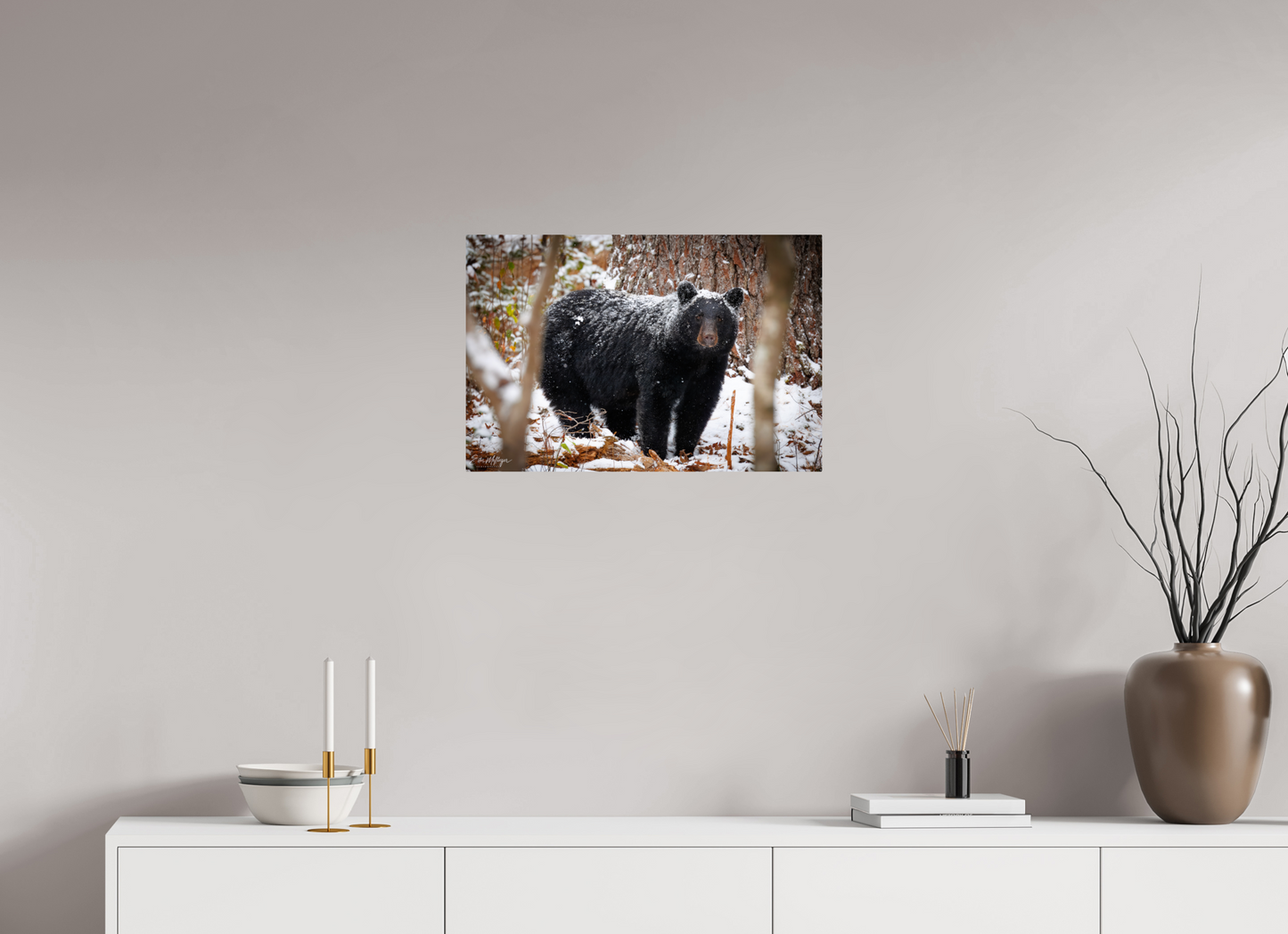 24 x 16″, Metal "Winter Watcher" - Black Bear