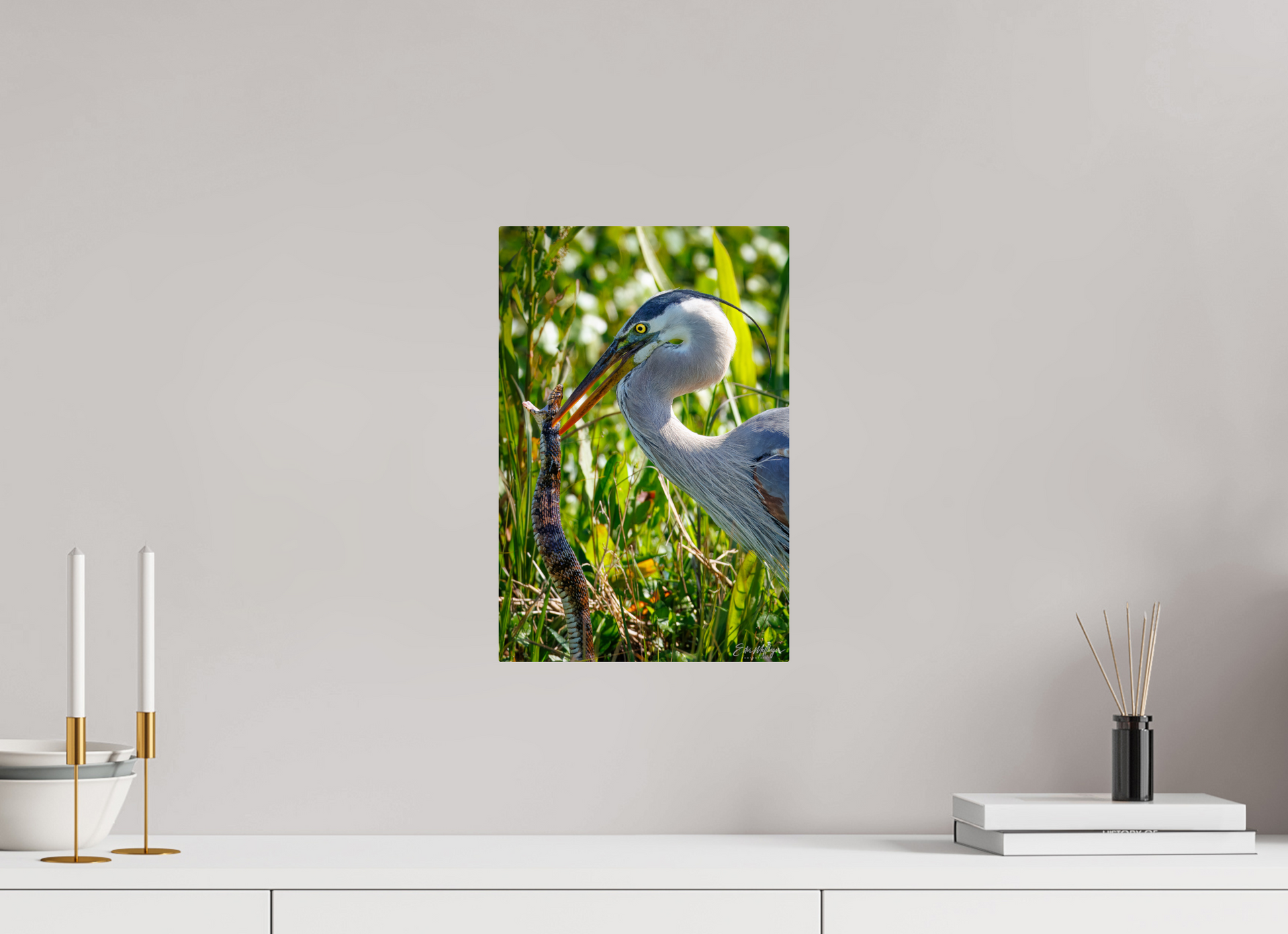 10 x 15″, Metal "The Hunt in the Marsh" - Great Blue Heron