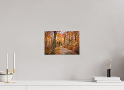 12 x 8″, Canvas "Golden Path" - Roaring Fork Road