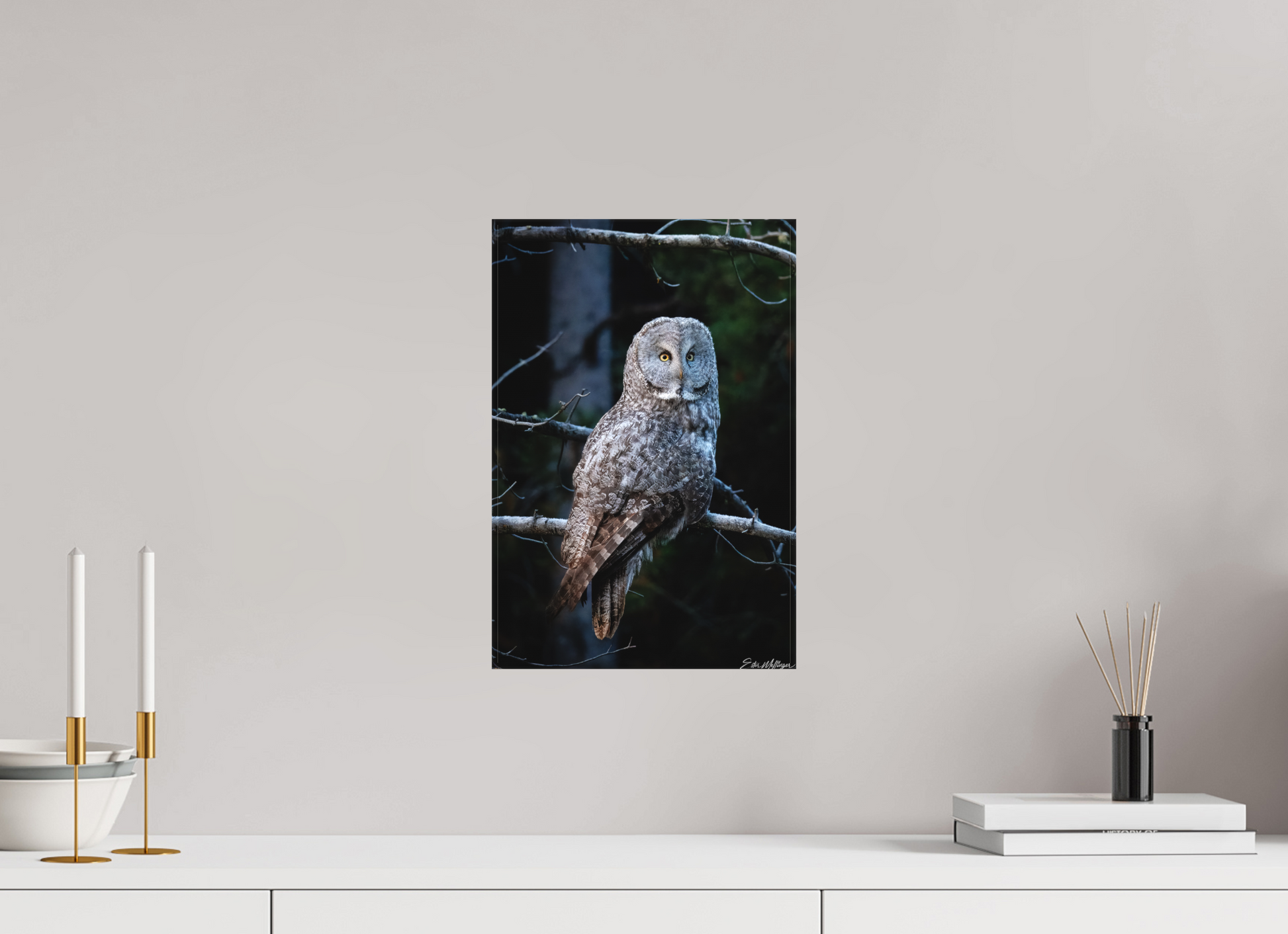 10 x 15″, Canvas "Keeper of the Dawn" - Great Grey Owl