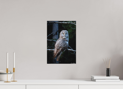 10 x 15″, Canvas "Keeper of the Dawn" - Great Grey Owl