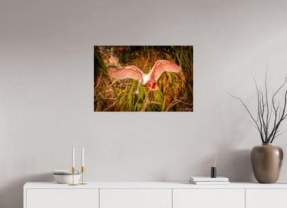 30 x 20″, Acrylic "Golden Builder" - Roseate Spoonbill