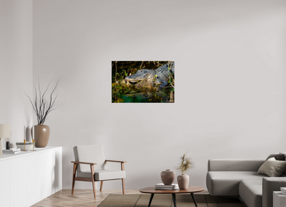 36 x 24″, Acrylic "Shadow of the Cypress" - American Alligator
